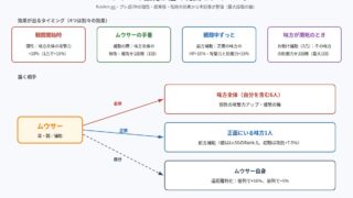 108星ムウサーの強化が届く範囲とタイミングの図