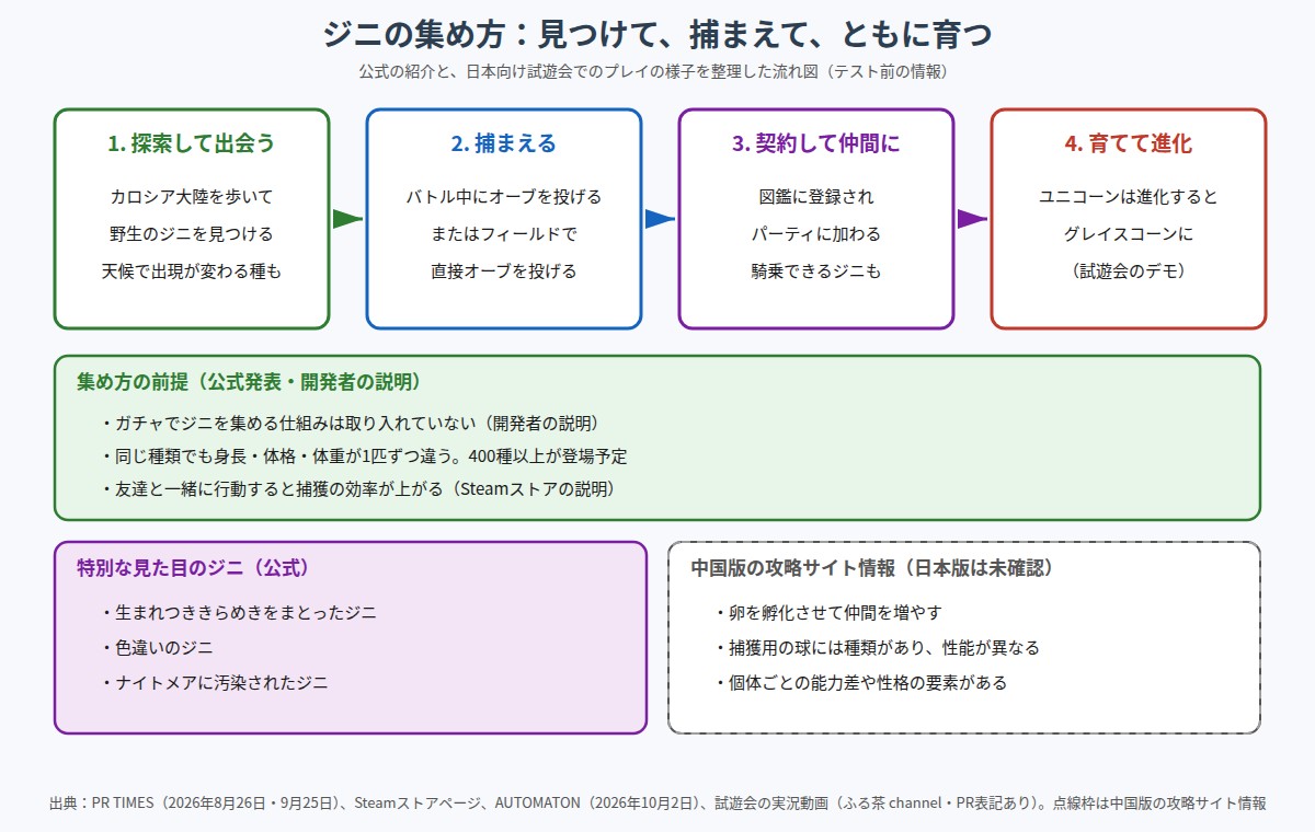 ジニを仲間にする流れを4段階で示した図。1は探索して野生のジニに出会う、2はバトル中かフィールドで直接オーブを投げて捕まえる、3は契約して仲間にし図鑑に登録、4は育てて進化させる(ユニコーンはグレイスコーンに進化)。下段に、ガチャがないこと、同じ種類でも体格が違うこと、友達と一緒だと捕獲効率が上がること、特別な見た目のジニ3種類、点線枠で中国版の攻略サイト情報として卵の孵化や捕獲用の球の種類を記載