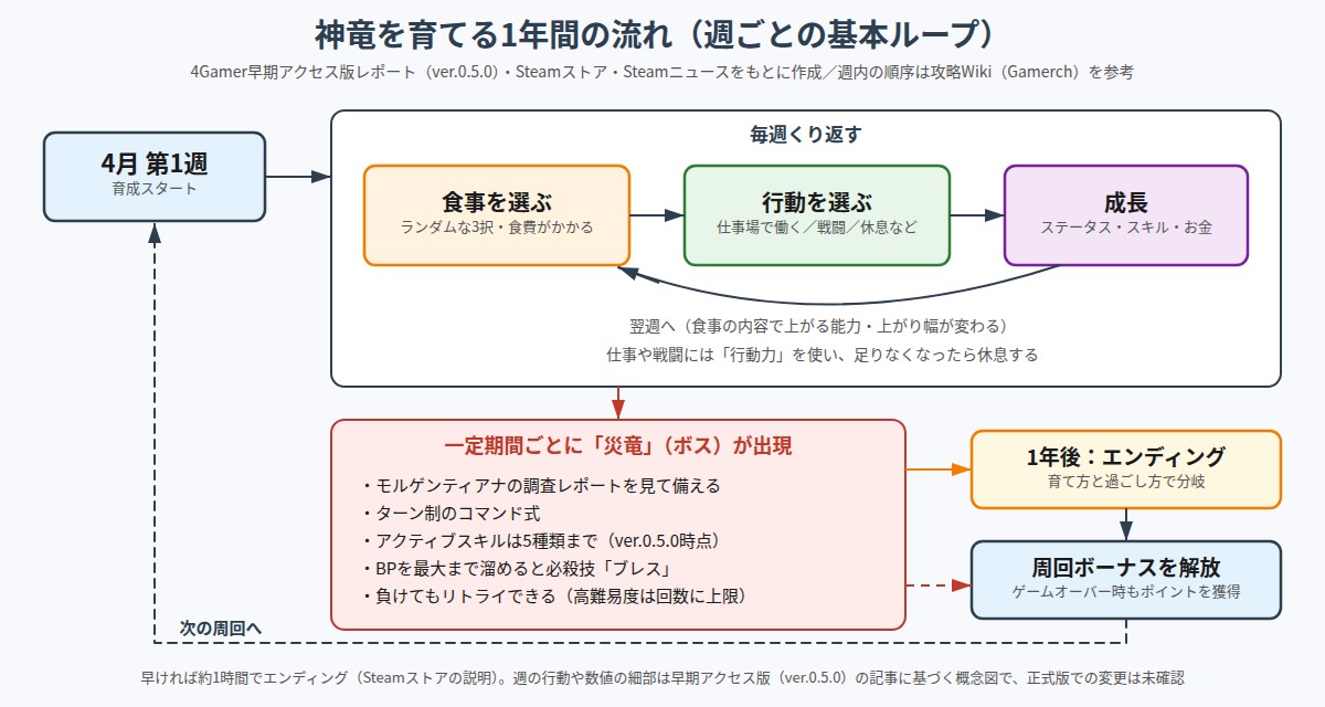 DRAPLINE の図解