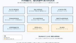 DinoBones: Tidy Up the Museum の図解
